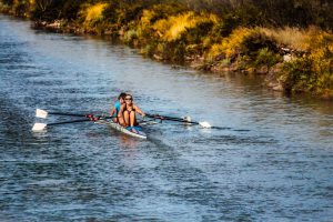 rowing-898008_960_720