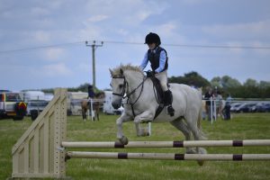 white-horse-965618_960_720